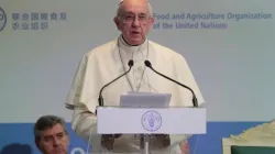 Papa Francesco alla FAO in una foto d'archivio  / Vatican Media