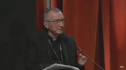 Il cardinale Parolin al Bled Strategic Forum lo scorso 1 settembre / Twitter @BledStratForum