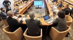 Un momento dell'incontro al Dicastero dello Sviluppo Integrale, ascoltando il videomessaggio di Papa Francesco, Palazzo San Calisto, 10 dicembre 2020 / Twitter Vatican IHD