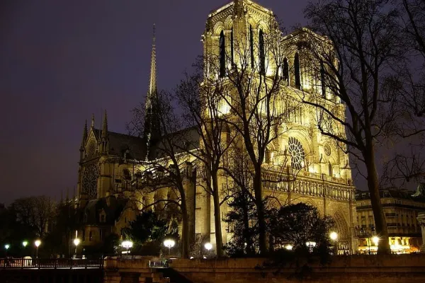 Notre Dame de Paris di notte / Twitter