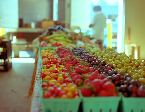 Frutta raccolta in una azienda agricola |  | Wikicommons Pubblico Dominio