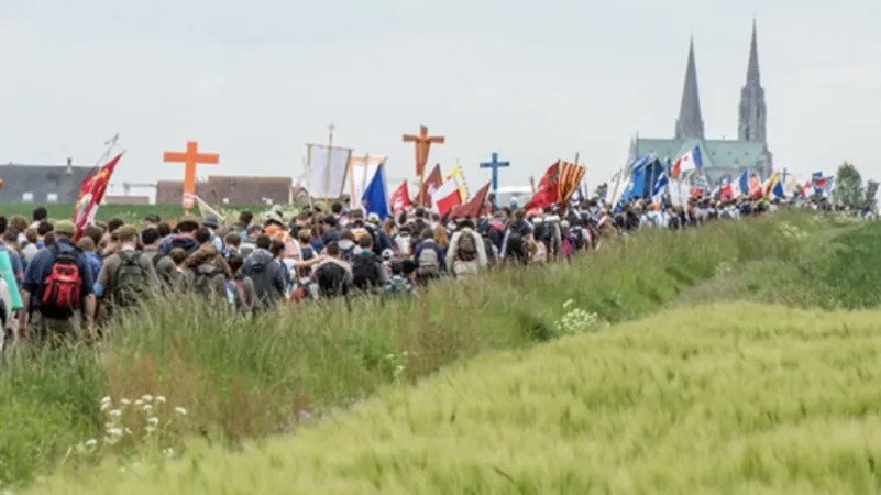 Parigi - Chartres | Una immagine del pellegrinaggio Parigi - Chartres di quest'anno | Twitter