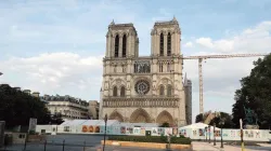 Il cantiere di Notre Dame a Parigi / Twitter LF