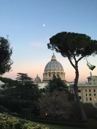 La cupola della Basilica Vaticana vista dai giardini |  | AA