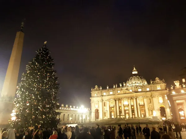 L'albero acceso in Piazza San Pietro |  | ACI Stampa