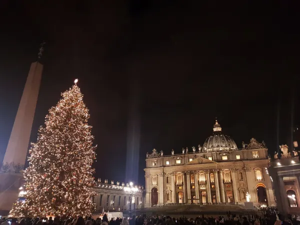 L'albero acceso in Piazza San Pietro |  | ACI stampa