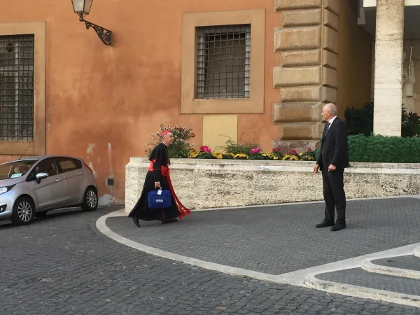 Il Cardinale Luis Francisco Ladaria Ferrer, Circolo minore Hispanicus B |  | ACI Stampa