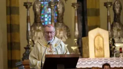 Il Cardinale Parolin, segretario di Stato vaticano, celebra Messa  / TandaLab