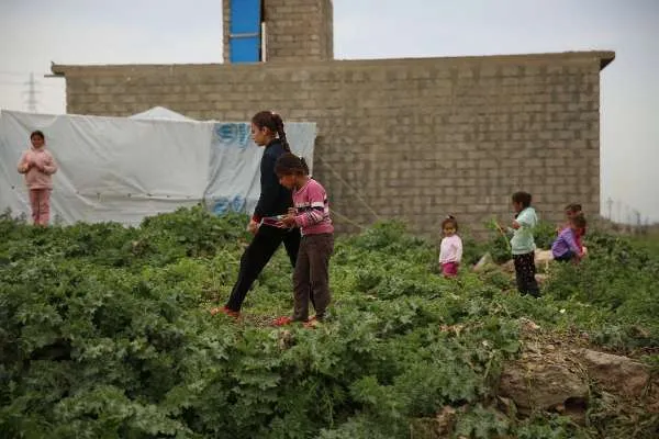 Rifugiati iracheni | Bambini rifugiati nel campo di Duhok, Iraq | Daniel Ibáñez / ACI Group