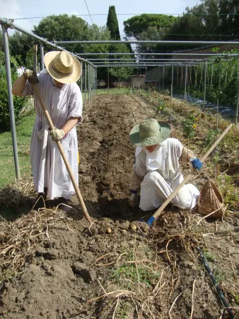 Lavoro in Monastero |  | Monastero Città della Pieve