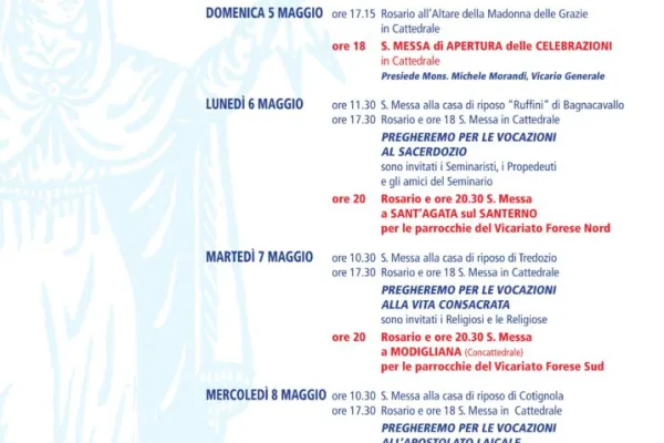 Diocesi di Faenza, sito