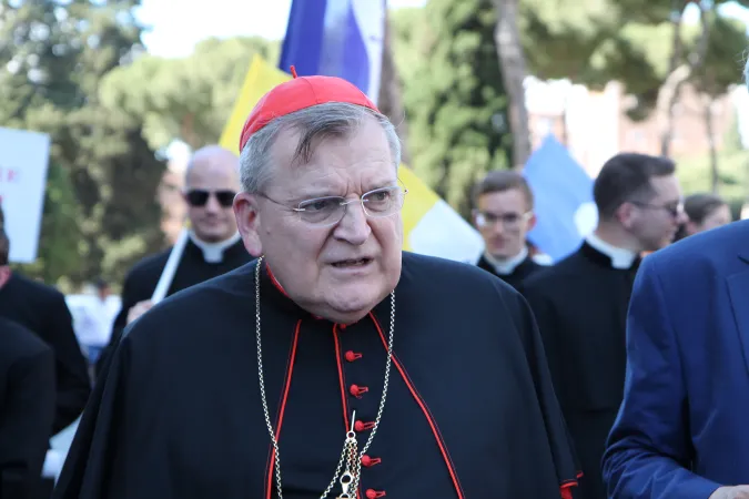 Marcia per la vita Burke 2 | Il cardinale Burke al corteo | Martha Calderón/ACI group