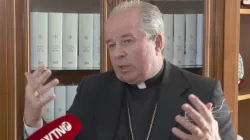 L'arcivescovo Ivan Jurkovic durante una intervista con EWTN / EWTN