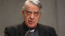 Padre Federico Lombardi, direttore della Sala Stampa della Santa Sede / ACI Stampa 