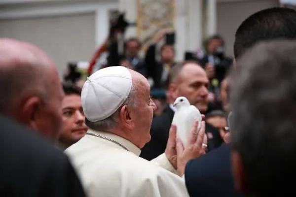 Papa Francesco con una colomba tra le mani, durante il viaggio in Turchia, Novembre 2014 / Daniel Ibáñez / CNA