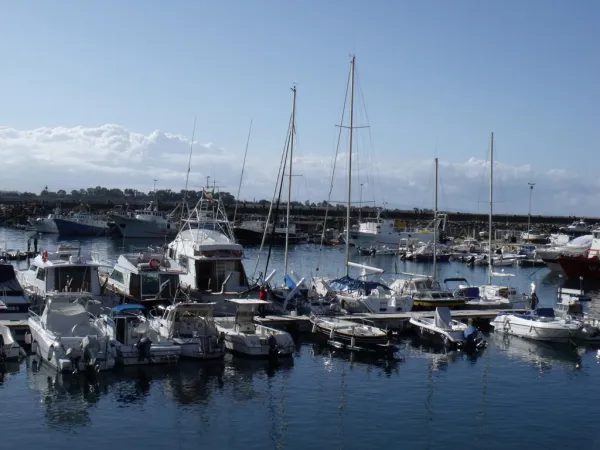 Pescatori | Veduta di navi da pesca al porto | www.chiesacattolica.it