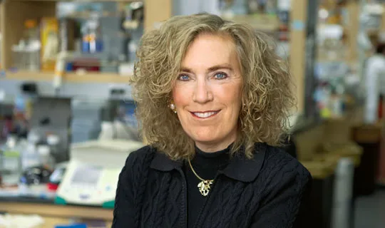 Elaine Fuchs |  | media.hhmi.org