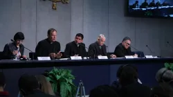 Padre Lombardi tiene il briefing di aggiornamento dei lavori del Sinodo in Sala Stampa vaticana, 12 ottobre 2015 / Bohumil Petrik / ACI Group