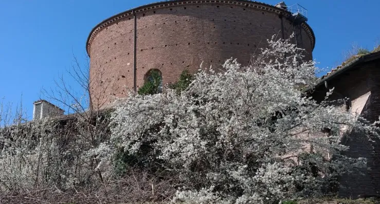 L'esterno della chiesa di Santo Stefano Rotondo |  | OB