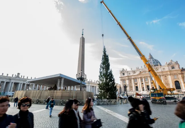 L'arrivo dell'albero da Cansiglio  |  | Daniel Ibanez / Aci Group