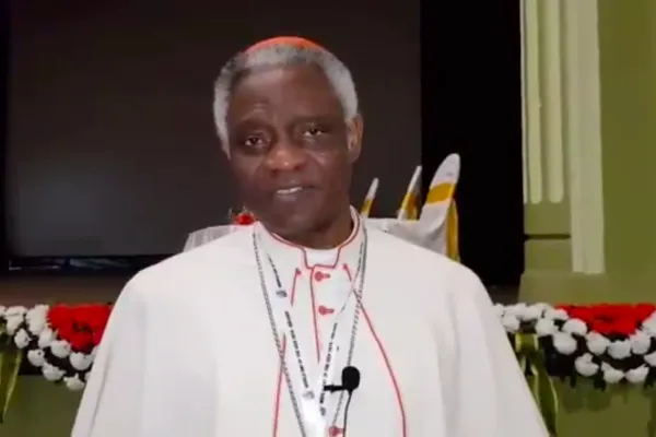 Il Cardinale Peter Turkson, prefetto del Dicastero per il Servizio allo Sviluppo Umano Integrale, durante la missione in India / Vatican IHD