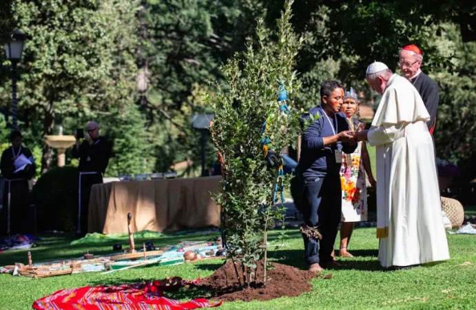 Il Papa e sullo sfondo una delle statue della pachamama |  | Daniel Ibanez CNA