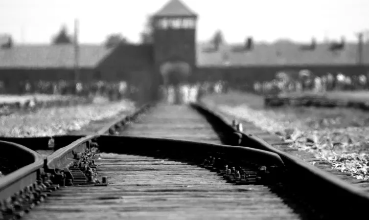 Birkenau  |  | pd