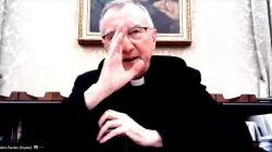 Il cardinale Parolin durante l'incontro con il Forum delle ONG Cattoliche, in teleconferenza, il 12 novembre  / ONG Cattoliche