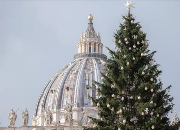 L'albero del Trentino  |  | Daniel Ibanez / EWTN