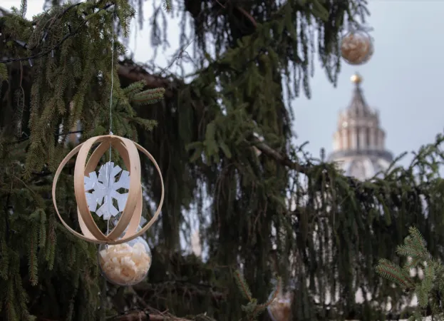 L'albero del Trentino  |  | Daniel Ibanez / EWTN