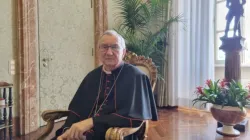 Il Cardinale Pietro Parolin, Segretario di Stato vaticano / AG / ACI Group