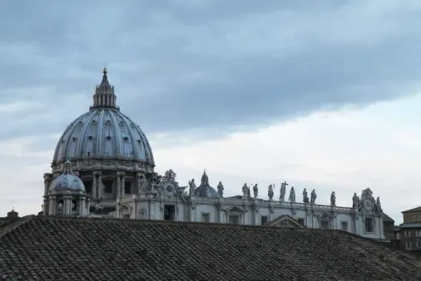 Una veduta della Basilica di San Pietro / Bohumil Petrik  / CNA