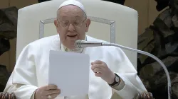 Papa Francesco durante l'udienza generale / Vatican Media / YouTube