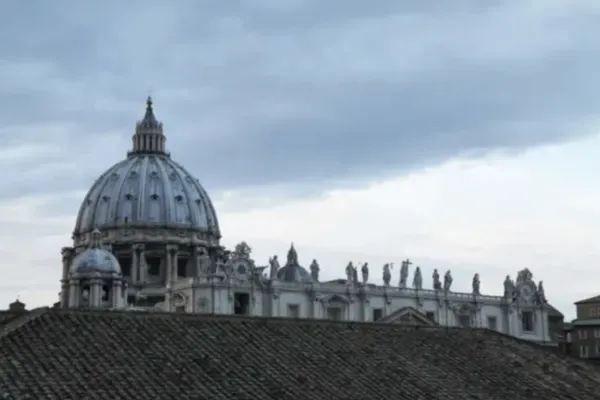 Una veduta della Basilica di San Pietro / Bohumil Petrik / CNA