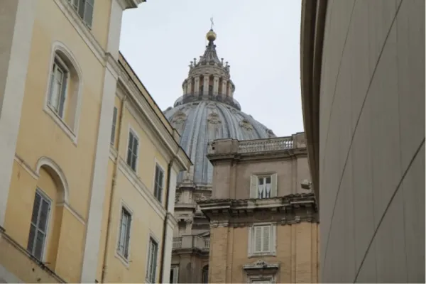 Una veduta della Basilica di San Pietro da Domus Sanctae Marthae / Bohumil Petrik / CNA