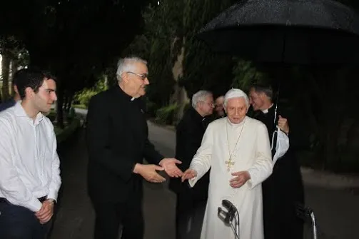 Seminaristi della Diocesi di Faenza-Modigliana | Seminaristi della Diocesi di Faenza-Modigliana in visita dal Papa emerito, Giardini Vaticani, 16 giugno 2015 | cortesia dei seminaristi della Diocesi di Faenza-Modigliana