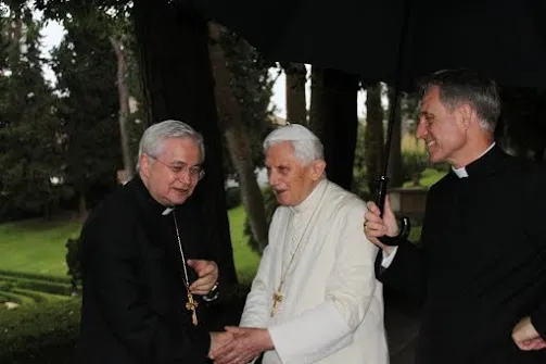 Seminaristi della Diocesi di Faenza-Modigliana | Seminaristi della Diocesi di Faenza-Modigliana in visita dal Papa emerito, Giardini Vaticani, 16 giugno 2015 | Cortesia dei seminaristi della Diocesi di Faenza-Modigliana