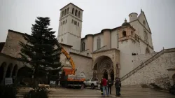 Albero di Natale installato di fronte la Basilica Inferiore di San Francesco d'Assisi / sanfrancescopatronoditalia.com