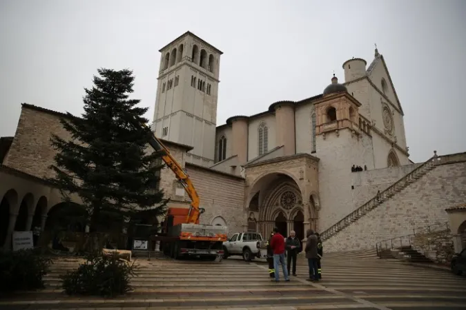 Natale alla Basilica di San Francesco ad Assisi | Albero di Natale installato di fronte la Basilica Inferiore di San Francesco d'Assisi | sanfrancescopatronoditalia.com