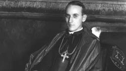 Una fotografia del Cardinale Aloizije Stepinac / pd