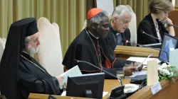 La presentazione di "Laudato Si'" del Cardinale Turkson / Marco Mancini/Aci group