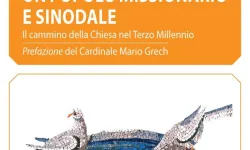 La copertina del libro di Padre Nardelli / Credit Cittadella Editrice