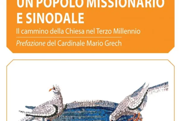 La copertina del libro di Padre Nardelli / Credit Cittadella Editrice