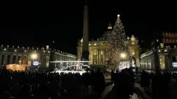 Albero e Presepe 2020 in Piazza San Pietro / Daniel Ibanez / ACI Group