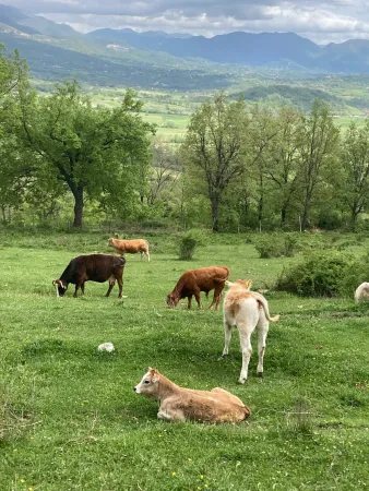 Un'immagine della natura |  | VG / ACI Stampa