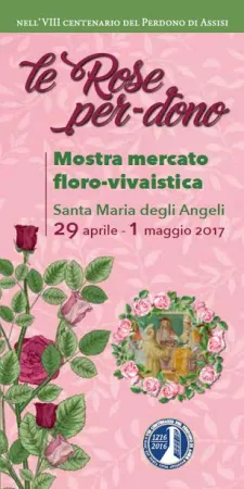 Le Rose per dono |  | ufficio stampa frati minori