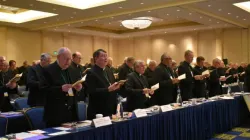 un momento di una passata assemblea dei vescovi USA. Quella di quest'anno si è tenuta virtualmente  / Catholicnewsagency