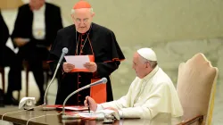 Il cardinale vicario Agostino Vallini con Papa Francesco / Vicariato