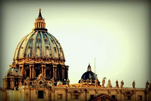 Una veduta della Basilica di San Pietro / Bohumil Petrik / CNA