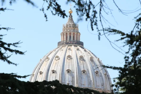 La cupola di S. Pietro - CNA